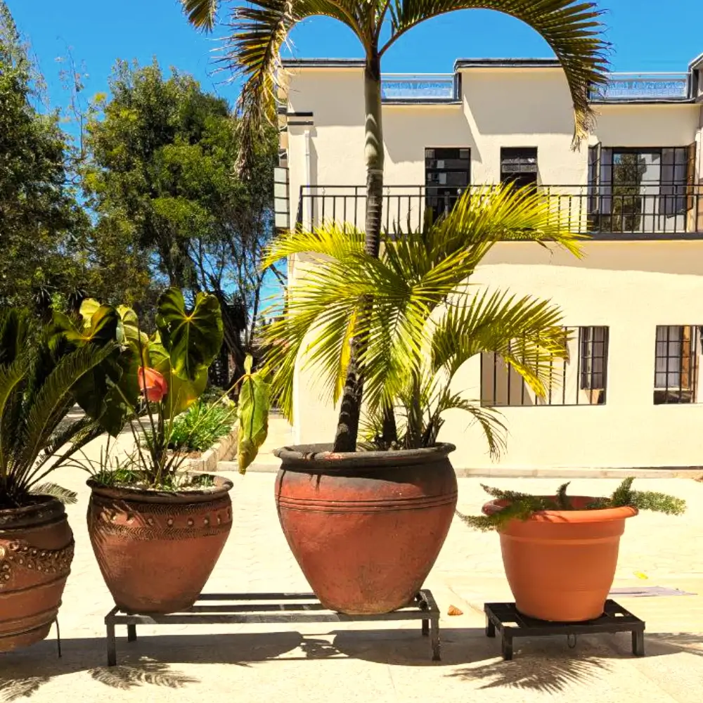 outdoor view from the restaurant